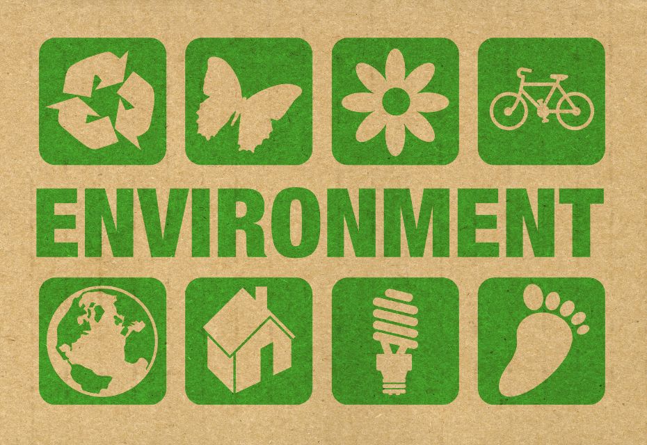 Những ý tưởng green event sáng tạo cho doanh nghiệp